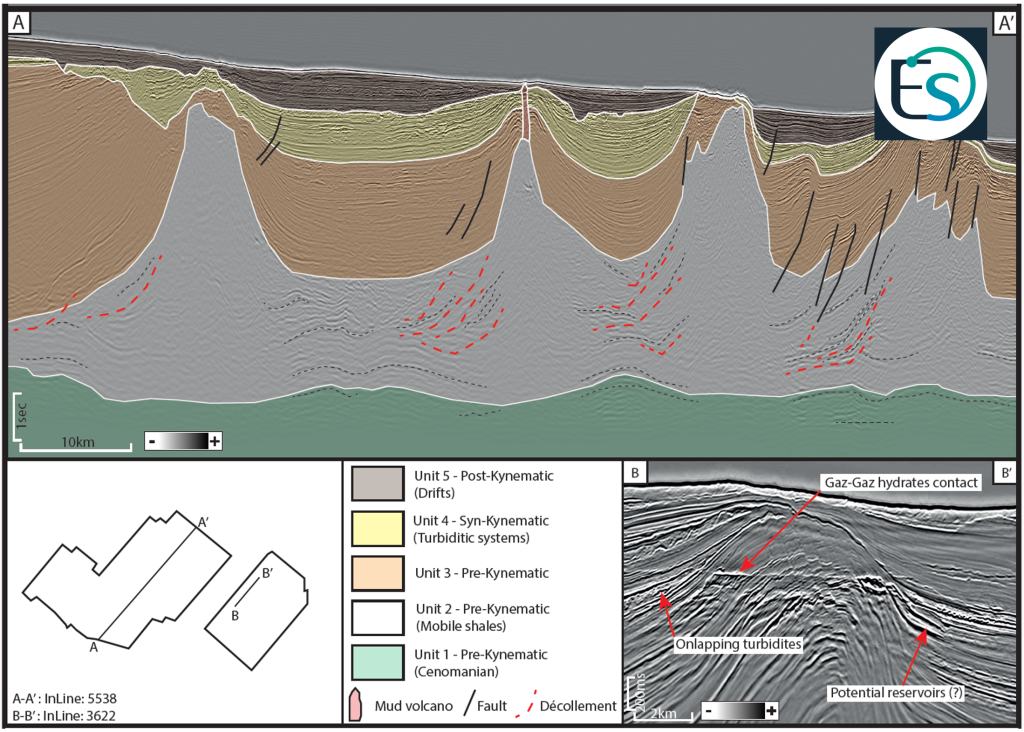 Shearwater, in collaboration with Eliis maturing subsurface understanding using PeleoScan™